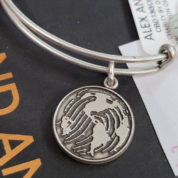 Alex and Ani Make Your Mark Charm Bangle - - Picture 3 of 4